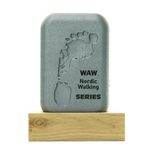 Cast 3D trophy — an award with a high level of detail