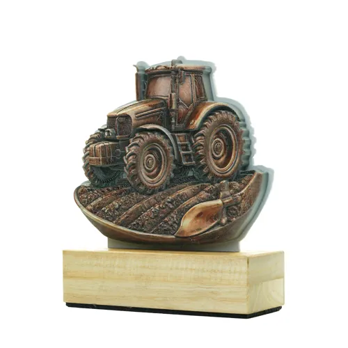 Custom commemorative trophy — a keepsake distinction for an anniversary or gala