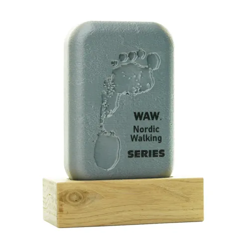 Sports trophy for a champion — a trophy with a personalised inscription