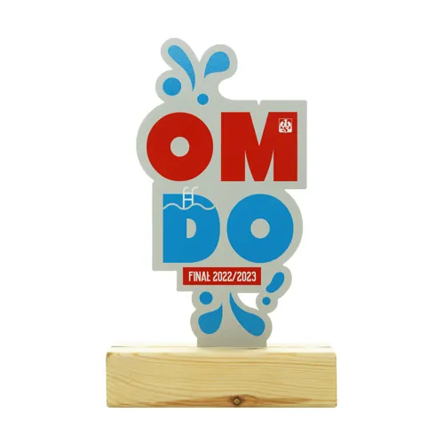 Custom sports trophy — a trophy for the winning team